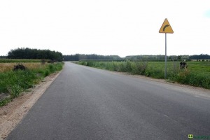 Droga w Tatarach, fot. UG Kadzidło